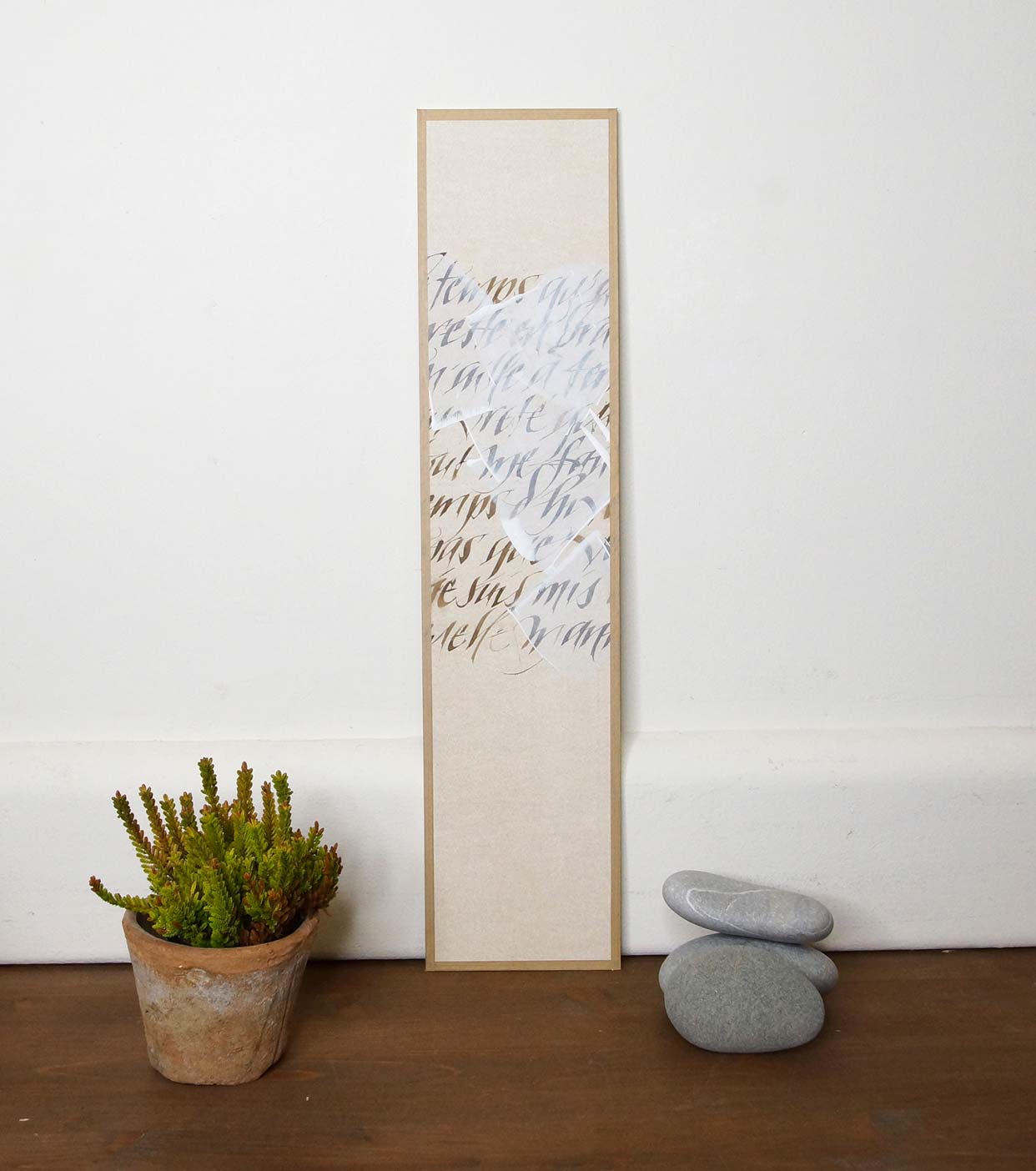 Format long   11,50 x 50cm   72